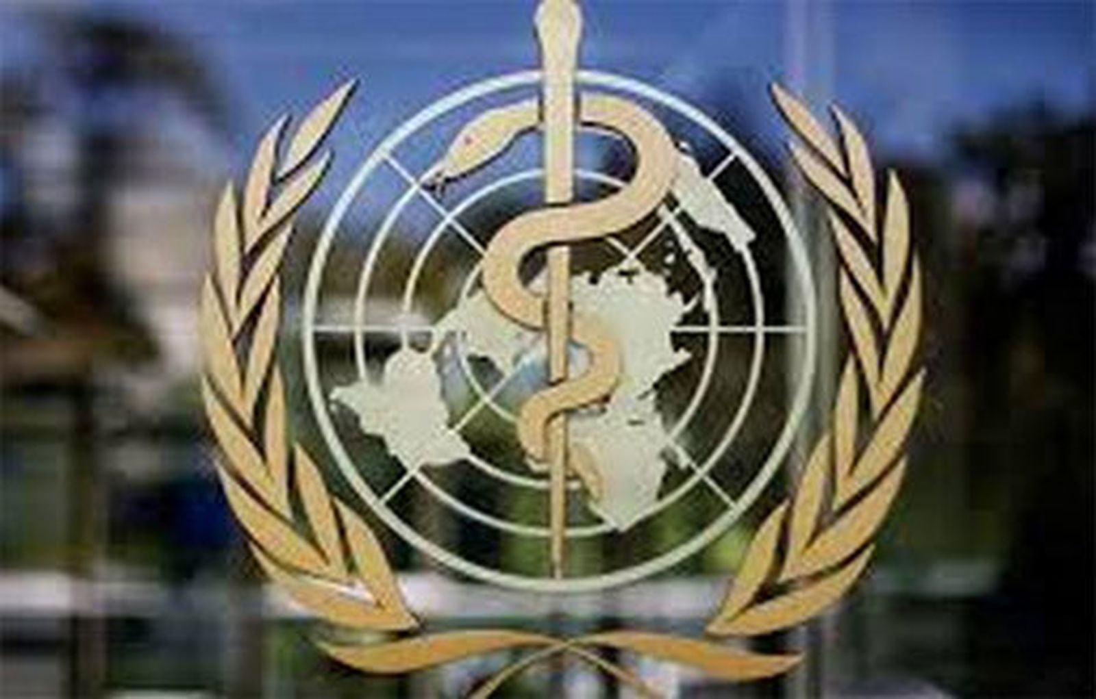 Organziación Mundial de la Salud