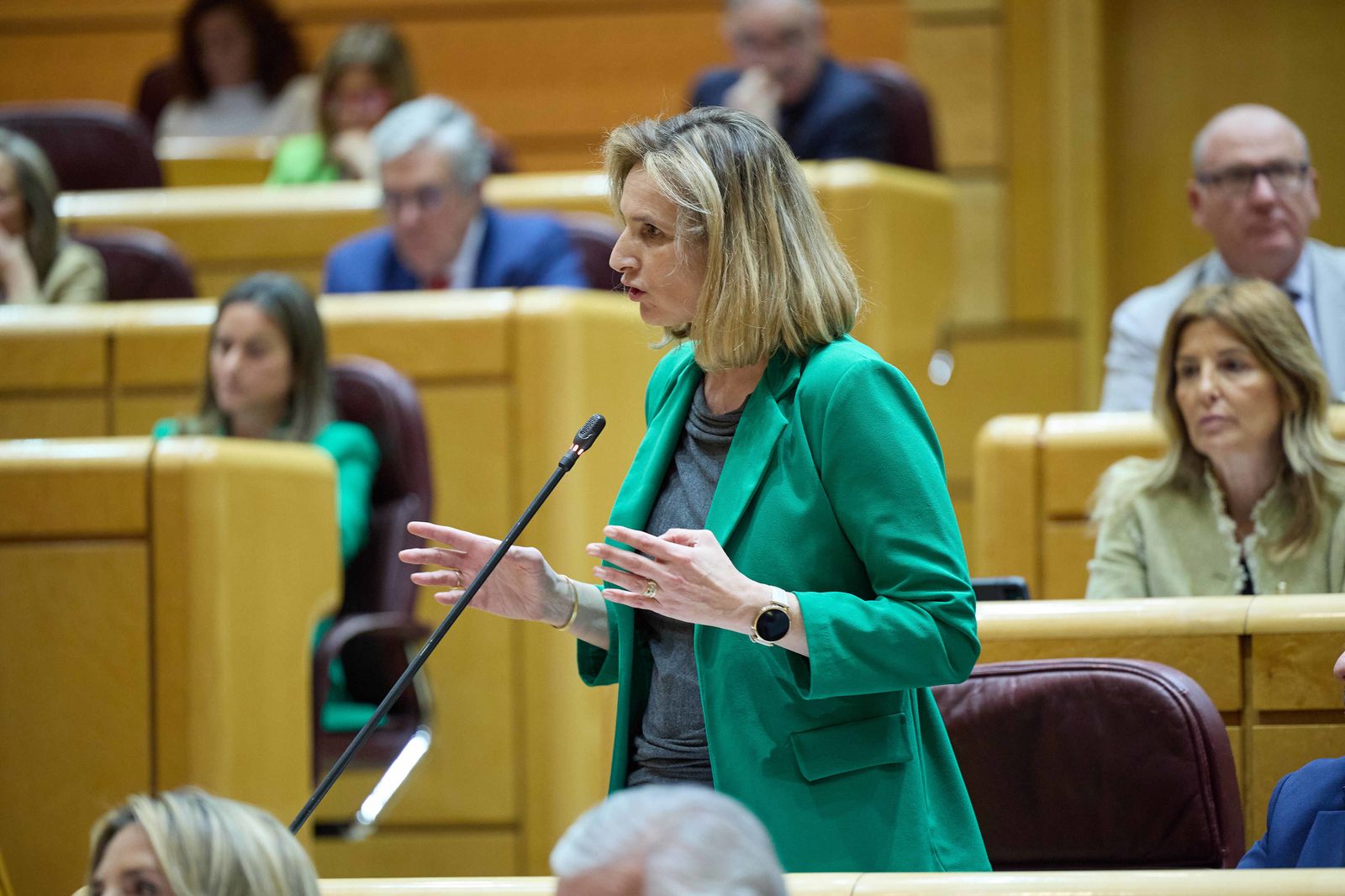 La senadora del PP, Paloma Martín, en  el Senado