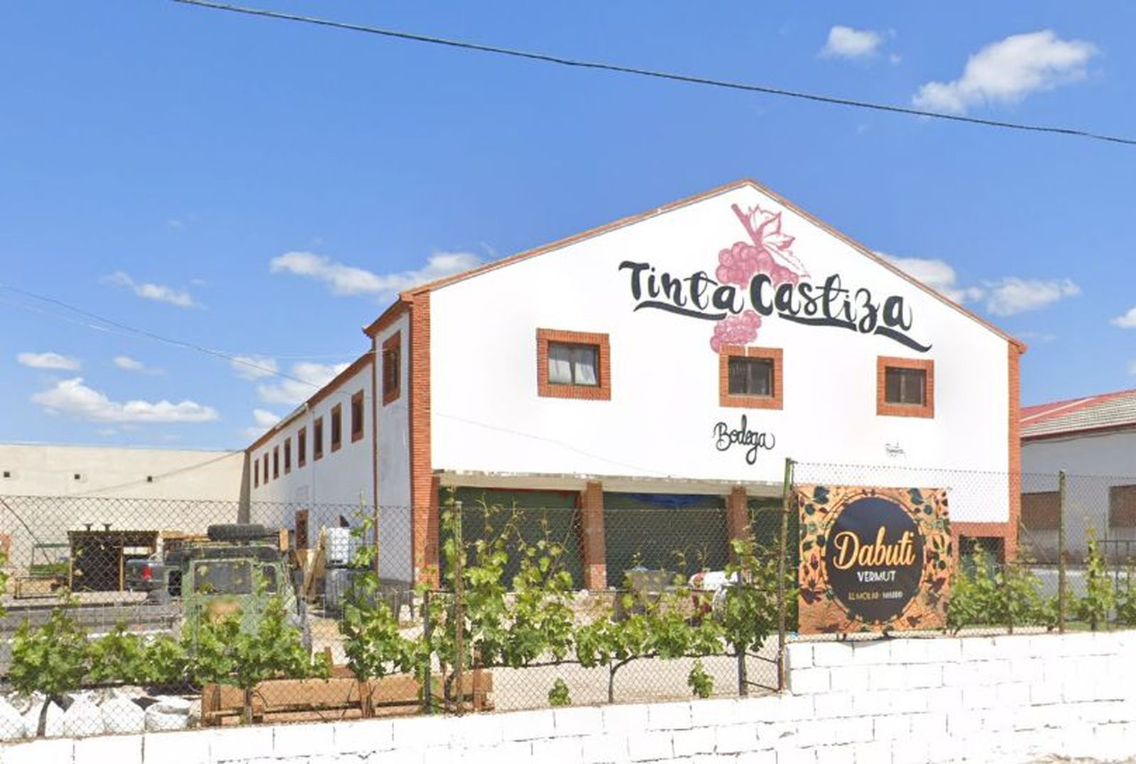 Bodega Tinta Castiza, en El Molar