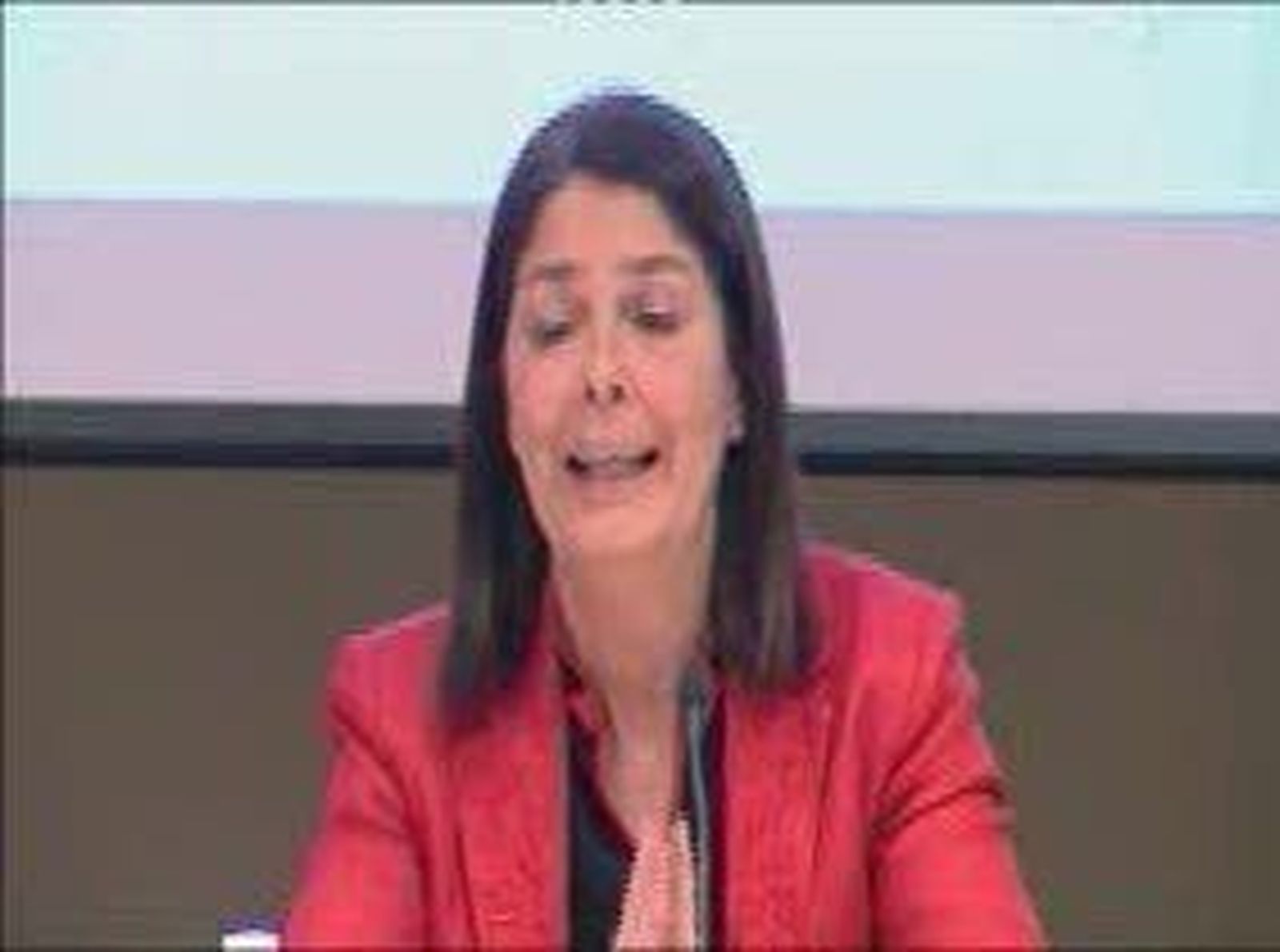Casi medio millon de extranjeros con derecho a voto en 2011