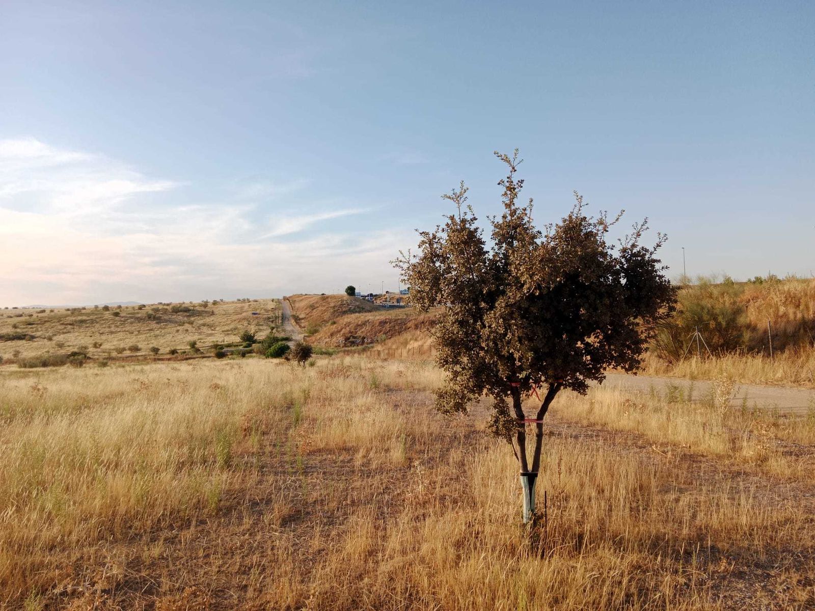 Terrenos de Alcorcón previstos para el proyecto urbanístico de Retamar de la Huerta