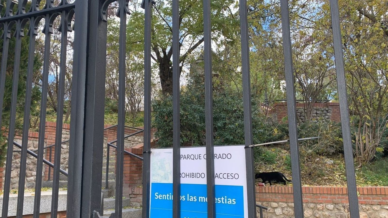 Los partidos políticos no se ponen de acuerdo sobre el cierre de parques de Madrid por mal tiempo