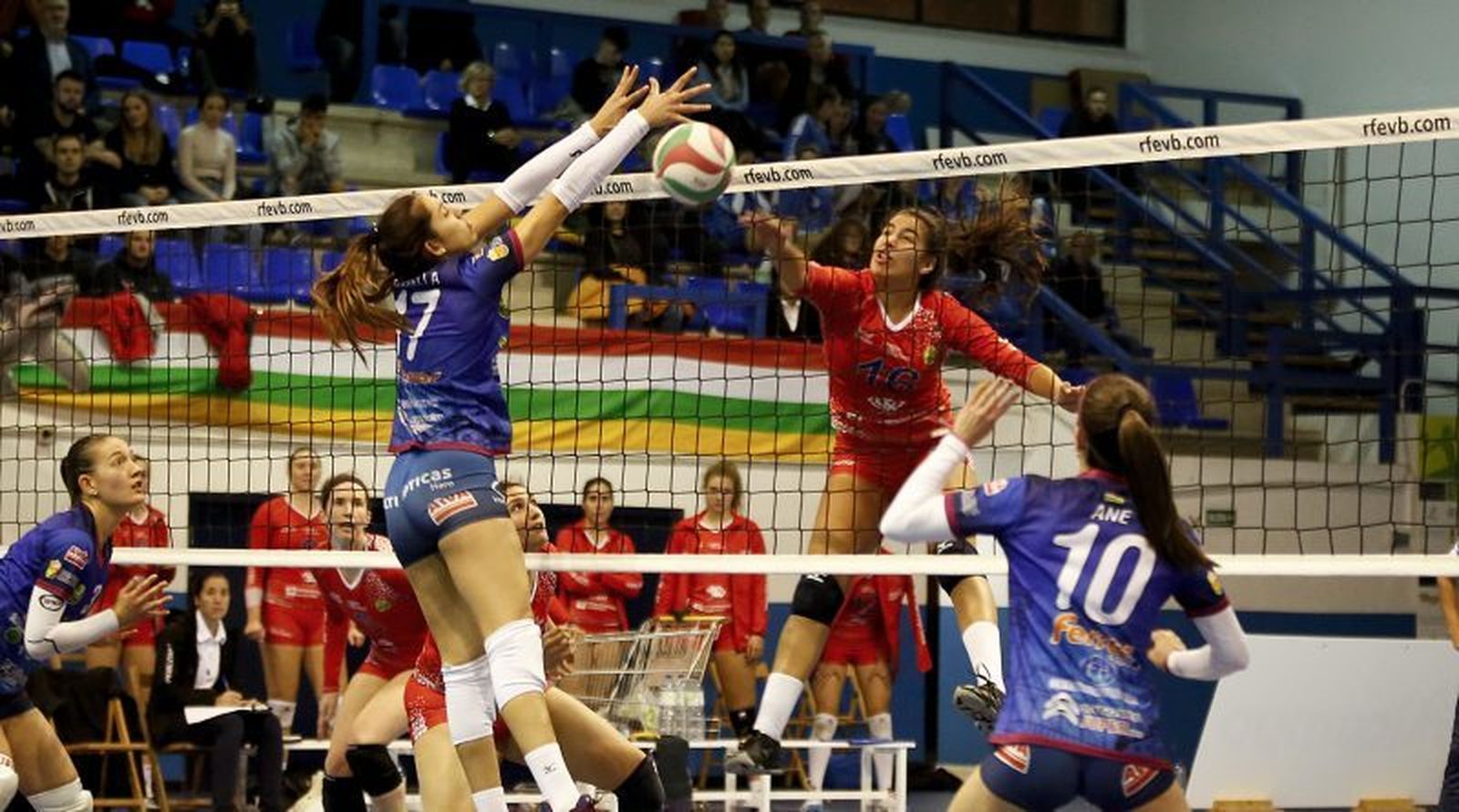 Voleibol femenino