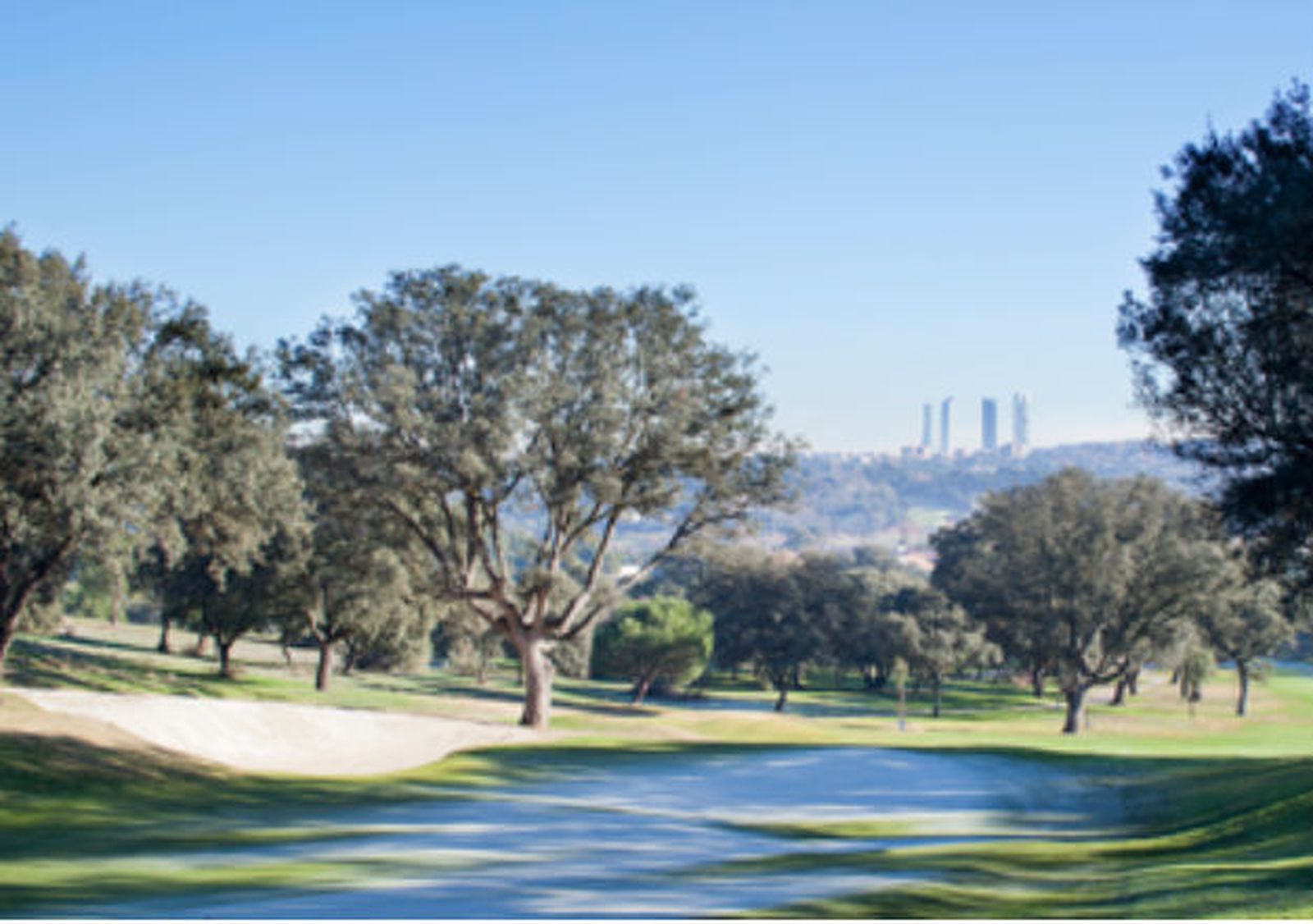 Campo de golf