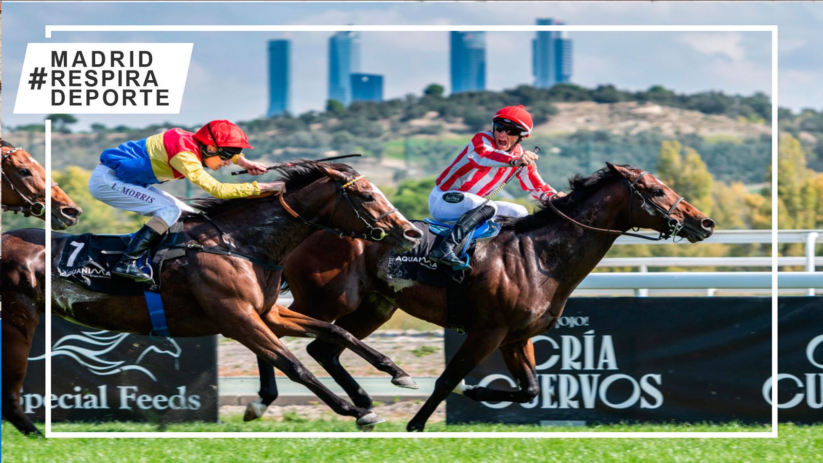Carrera de caballos