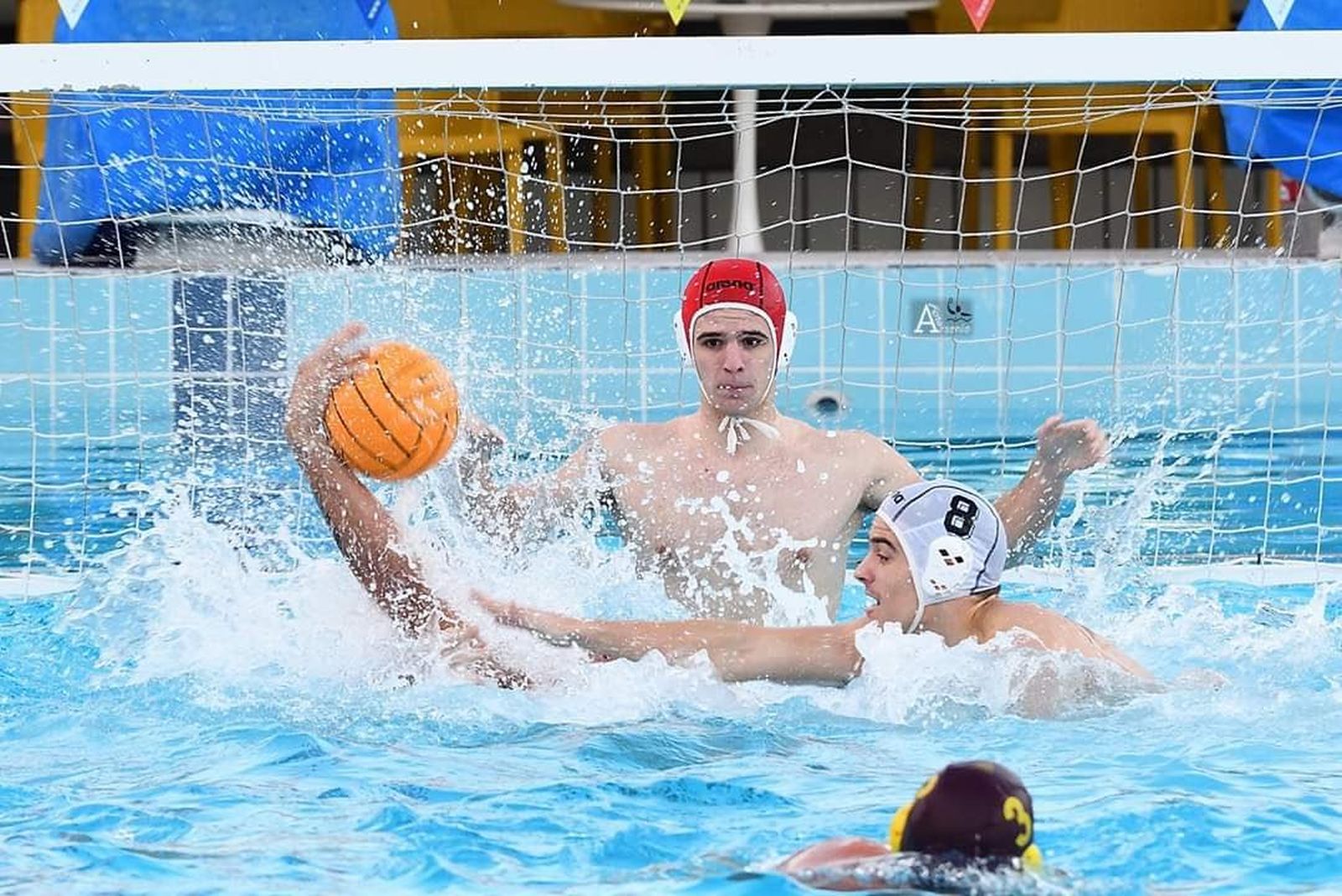 Waterpolo Colegio Brains