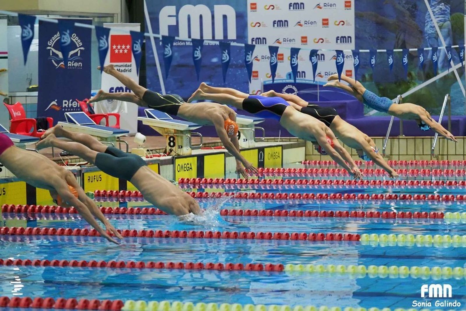 Open Absoluto de Madrid de natación