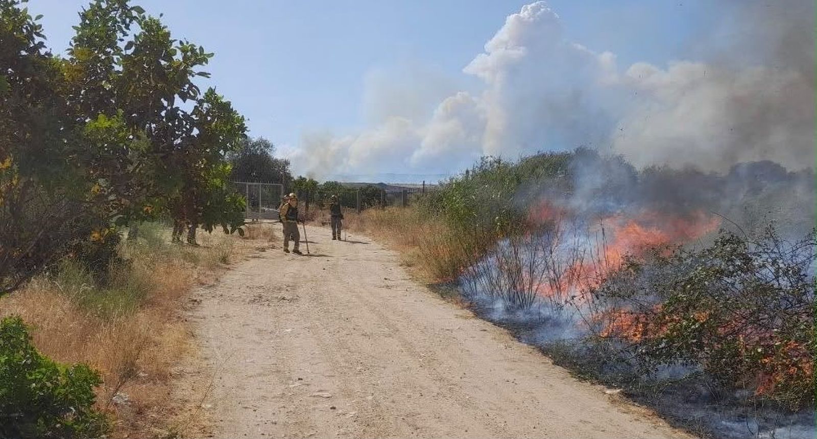 El fuego de uno de los incendios que afecta a la  Comunidad de Madrid
