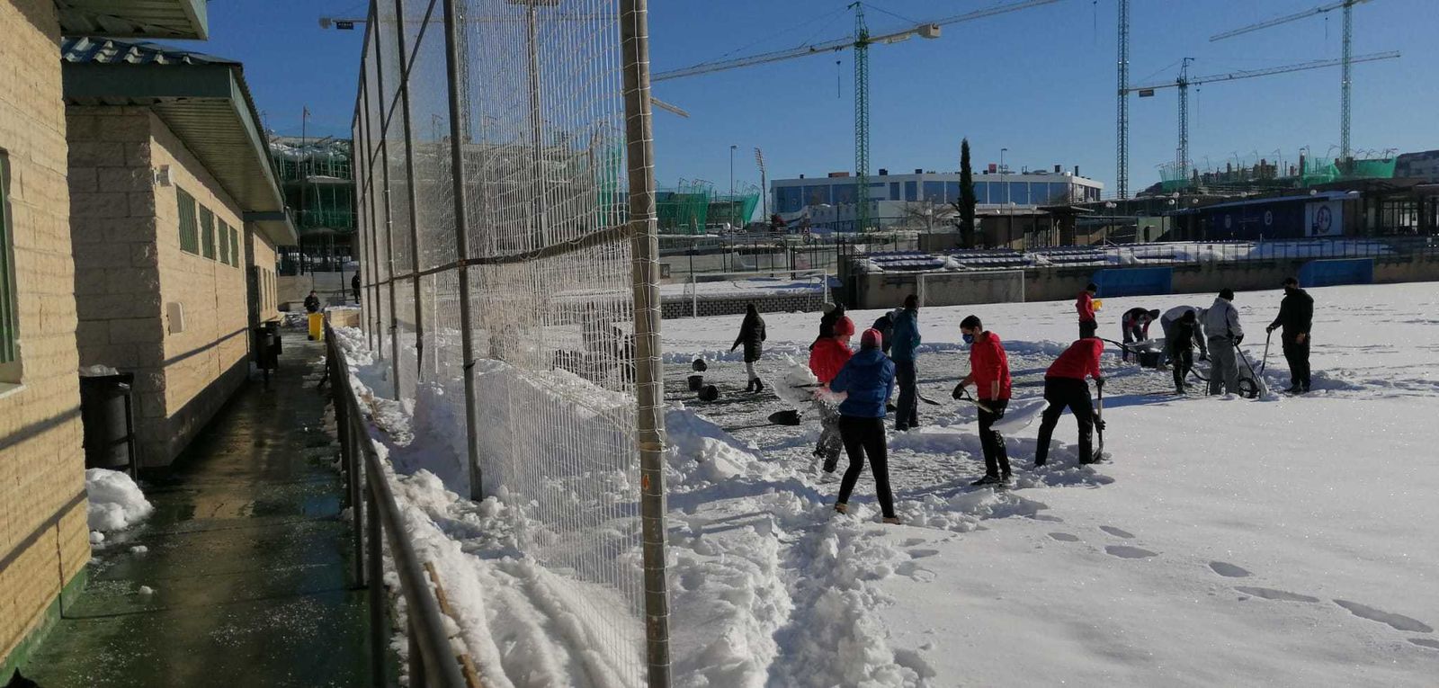 Voluntarios despejan el campo del Rayo Majadahonda