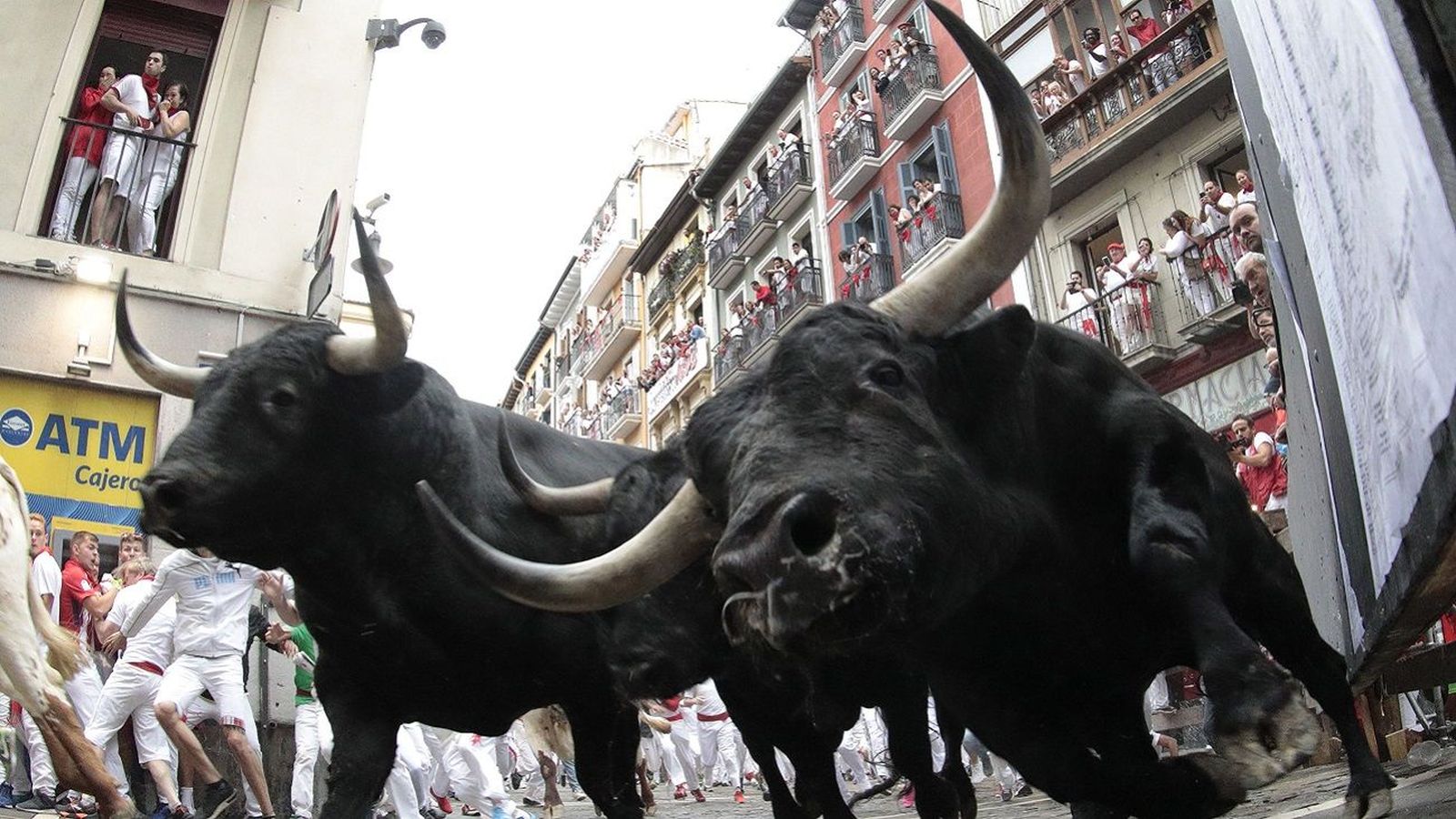 Primer encierro de San Fermín: casi tres minutos de tensión y varios heridos