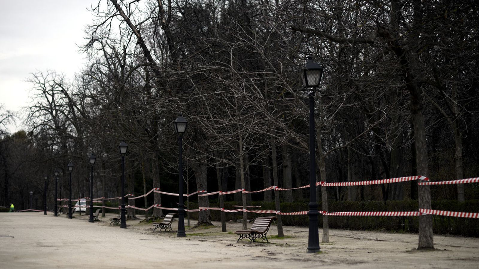 El Retiro con una arboleda balizada