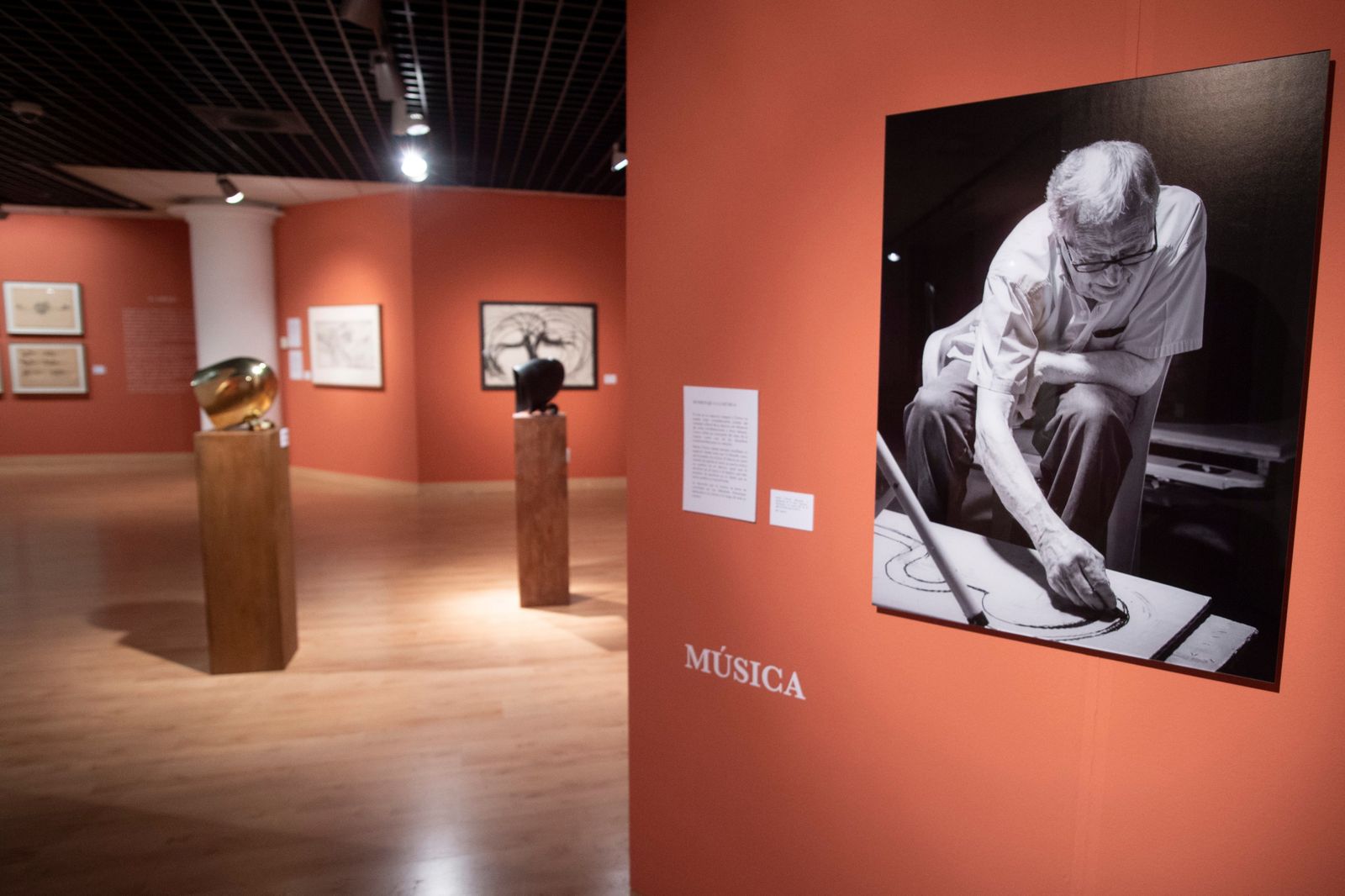 Exposición sobre Martín Chirino