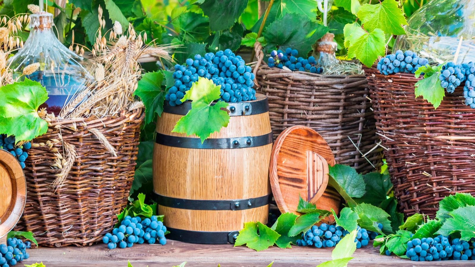 Cadalvin 2025: Cadalso de los Vidrios acoge la XIII Feria del Vino de Madrid