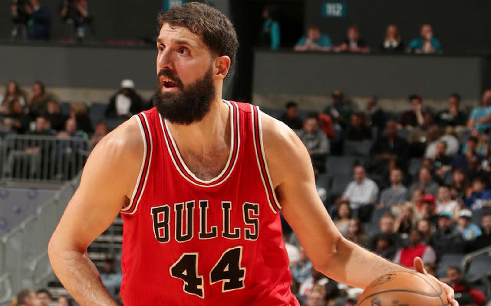 mirotic1403.jpg