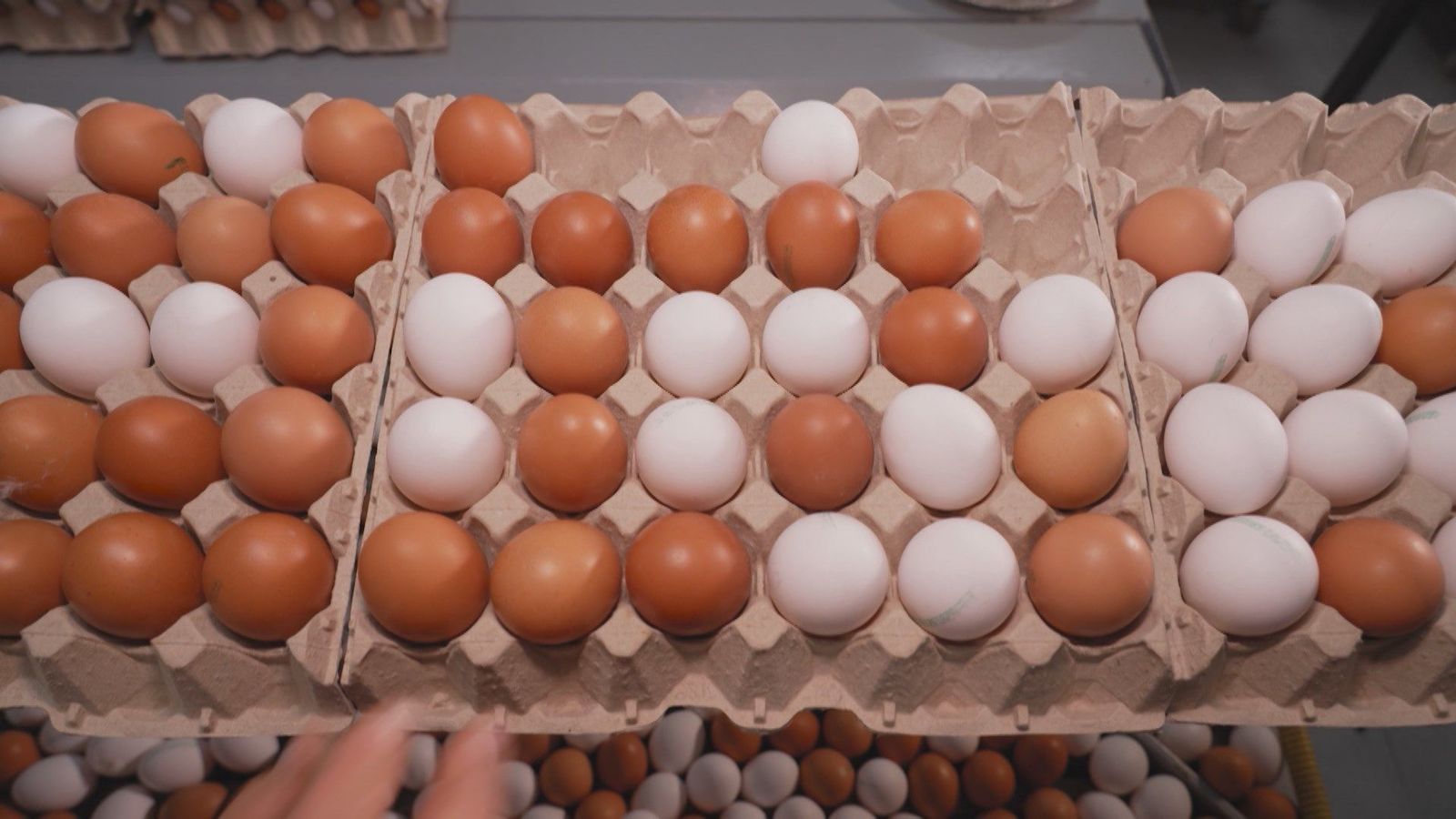 El huevo es el alimento que más se encarece en 2025