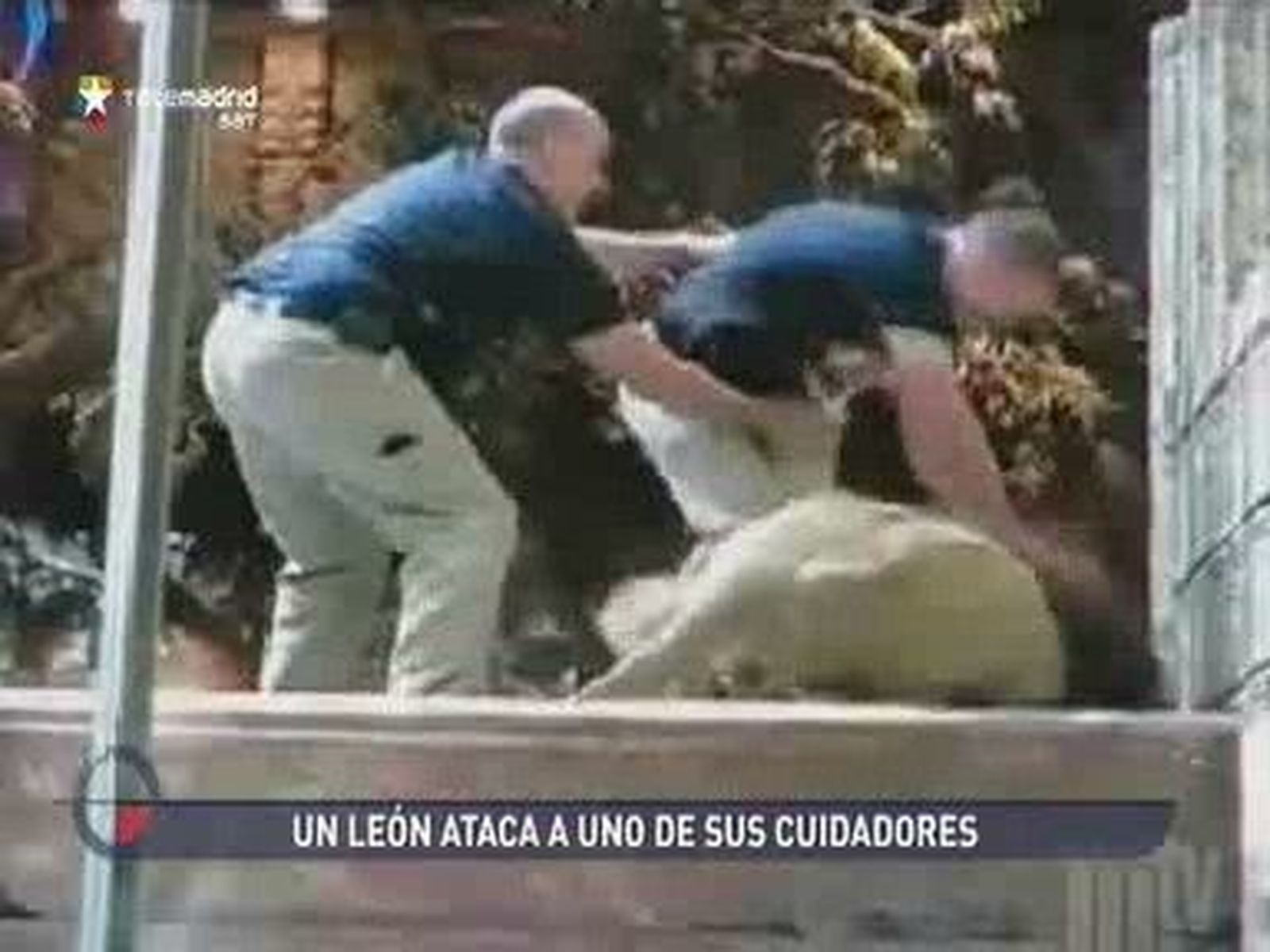 Resumen de Prensa