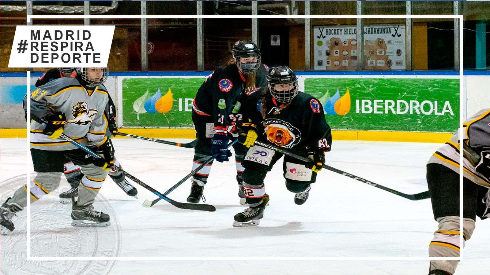 Hockey Majadahonda - Qumeras Valdemoro