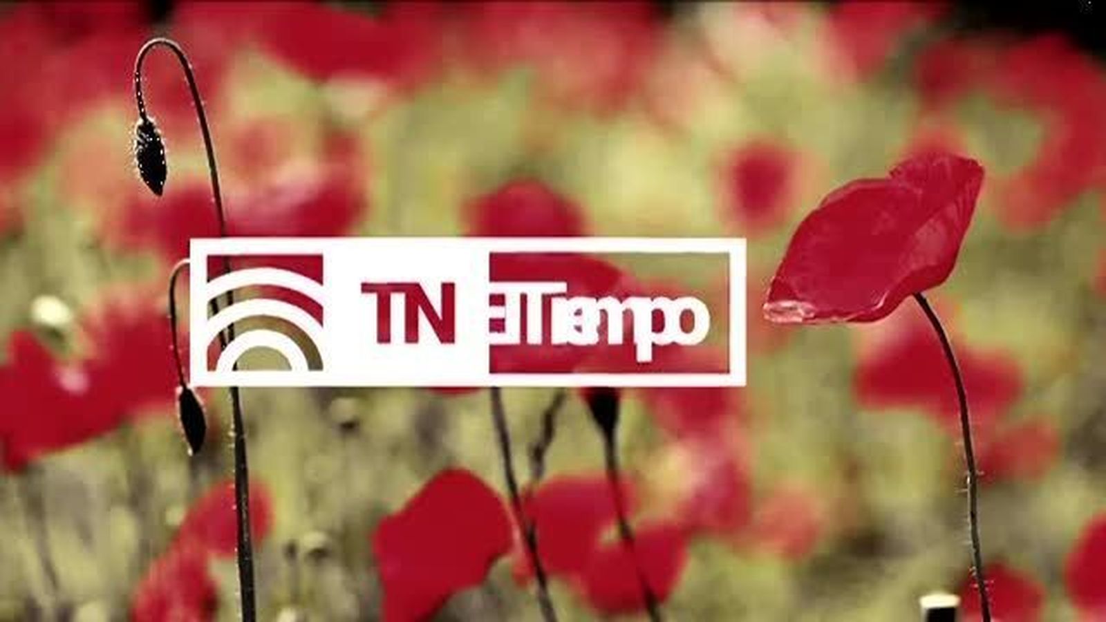 El Tiempo 1 24.11.2017