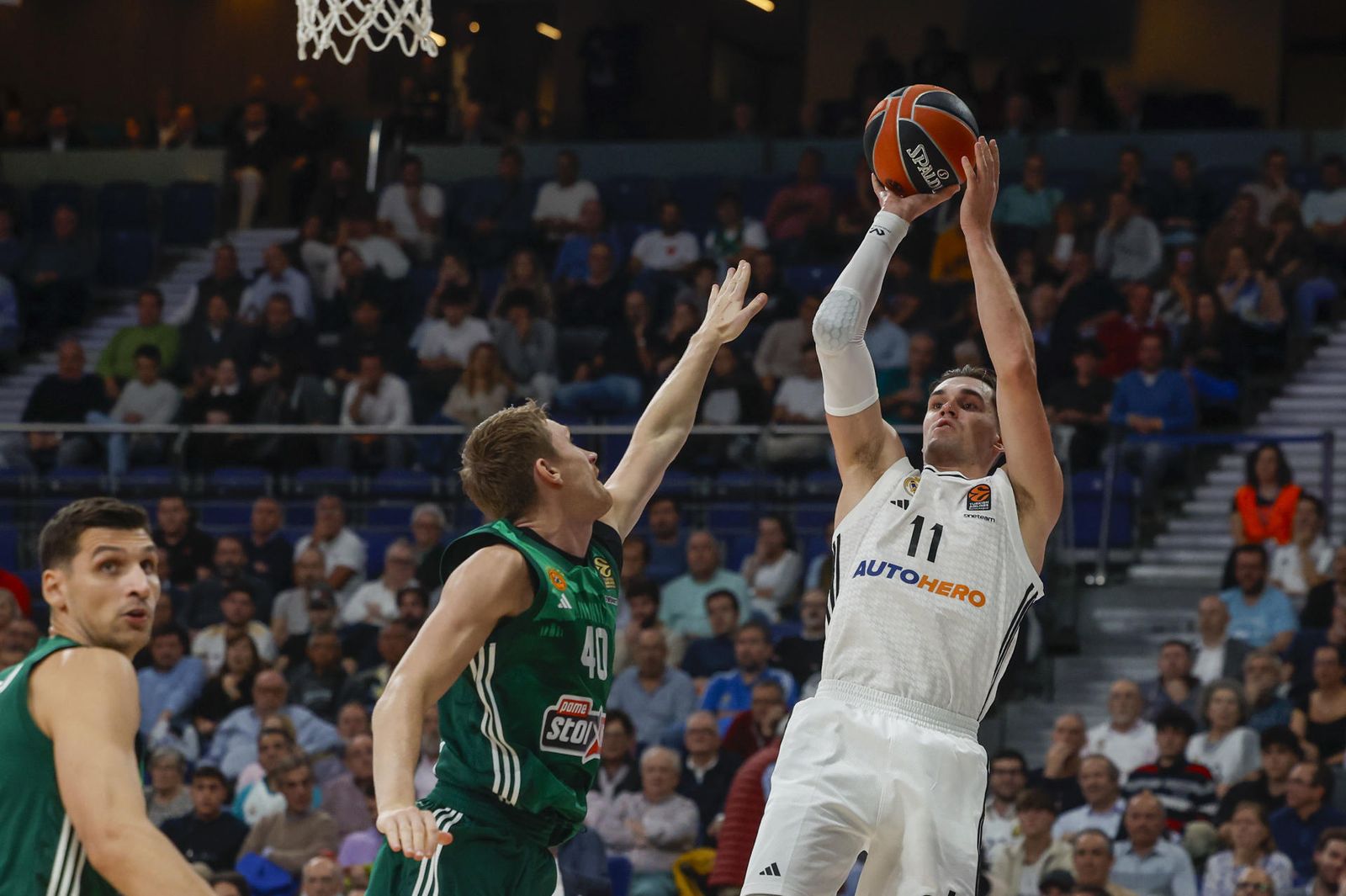 Hezonja ante Panathinaikos