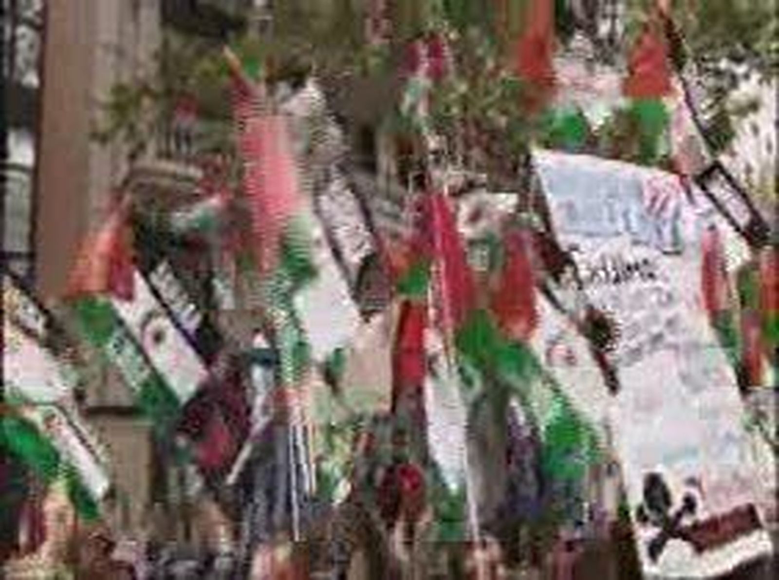 ManiPoli_20101113V0.wmv