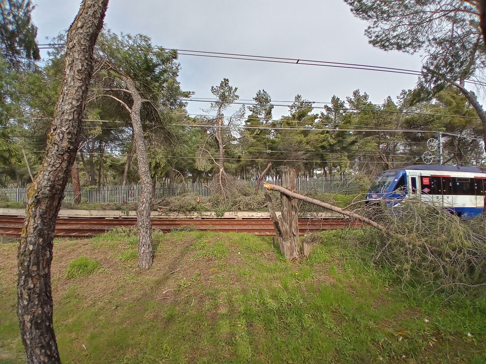 La línea 10 de metro a su paso por la Casa de Campo
