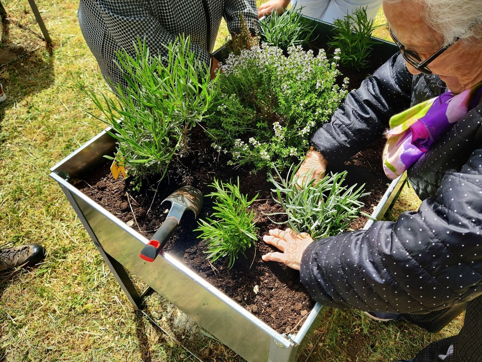 La Comunidad de Madrid organiza más de 200 actividades medioambientales gratuitas este verano para descubrir y conservar la biodiversidad