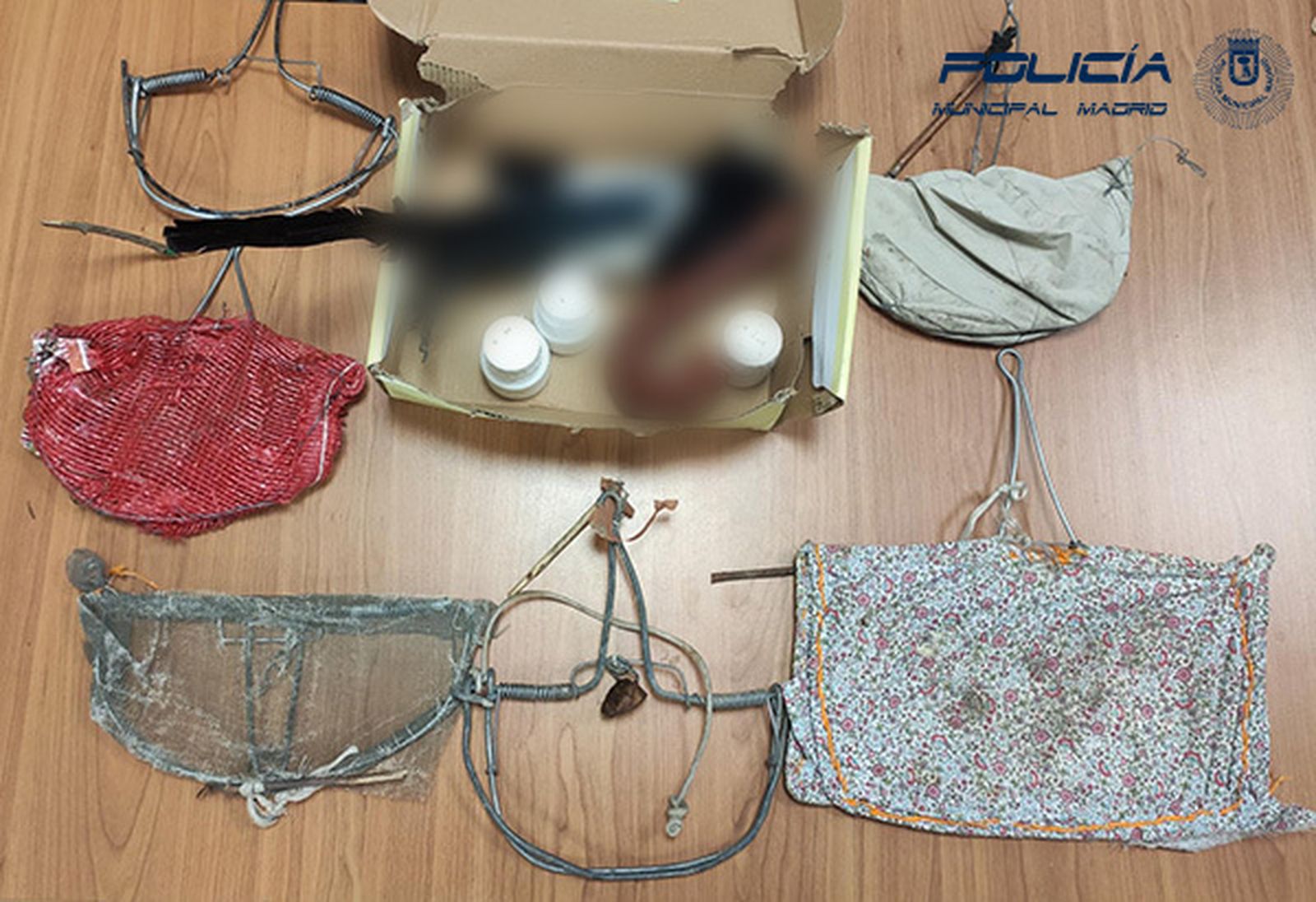 Objetos intervenidos al cazador furtivo y el ave recuperada