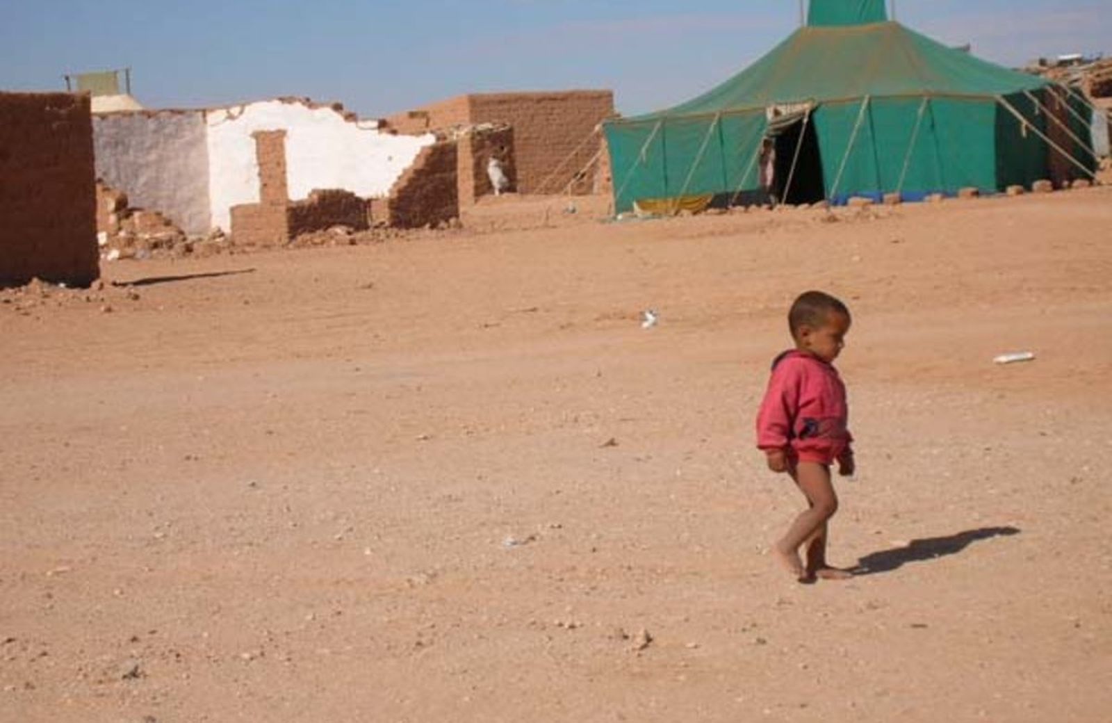 Un niño camina por un campamento de refugiados saharauis en Argelia