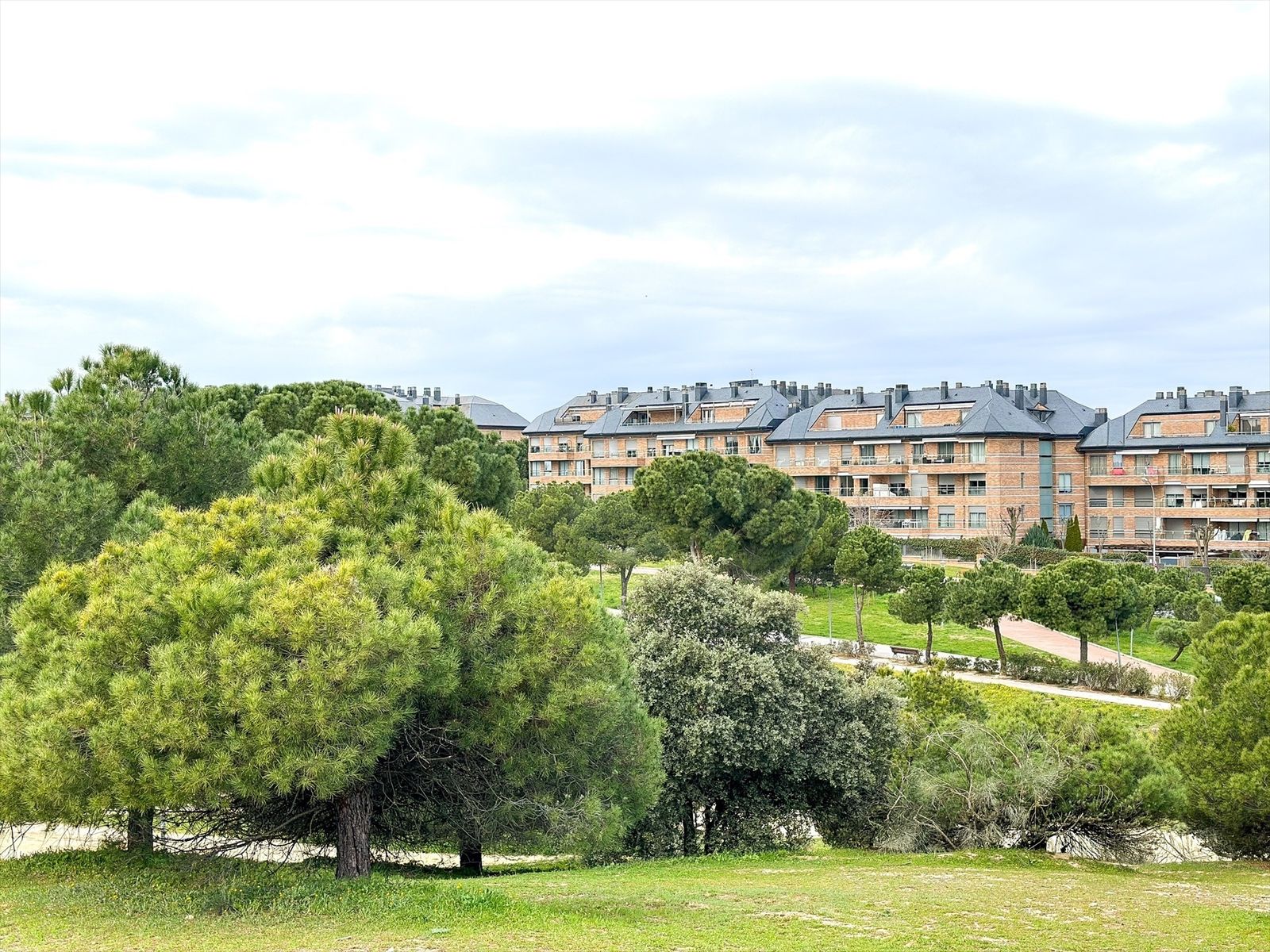 Zona verde y edifcios residenciales en Majadahonda