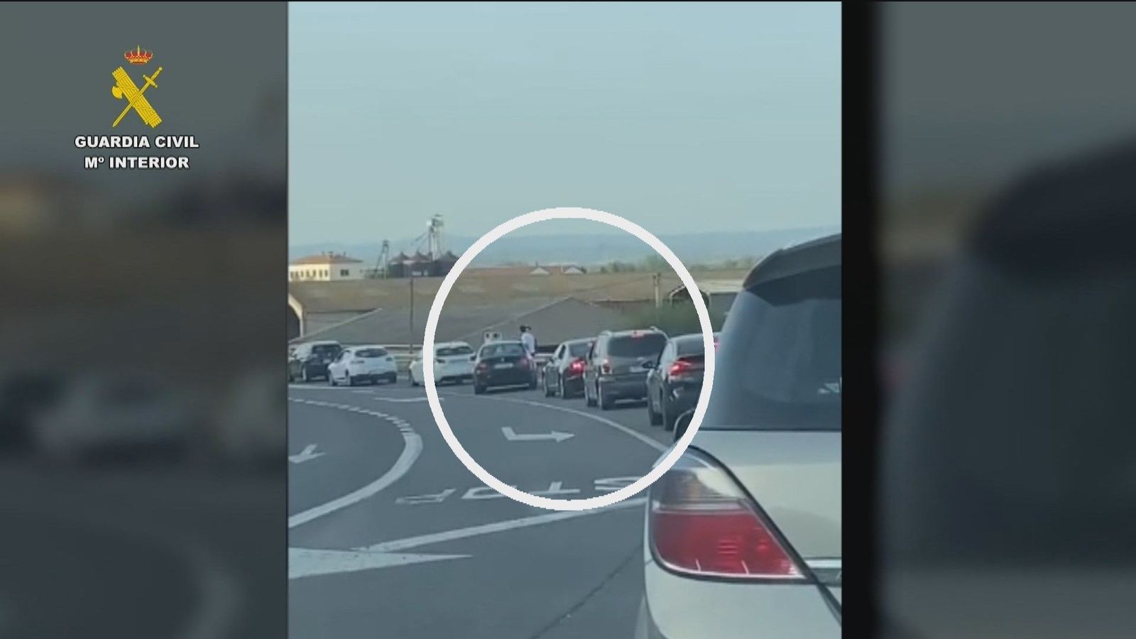 Circulan por la autovía... sentados en las ventanillas del coche