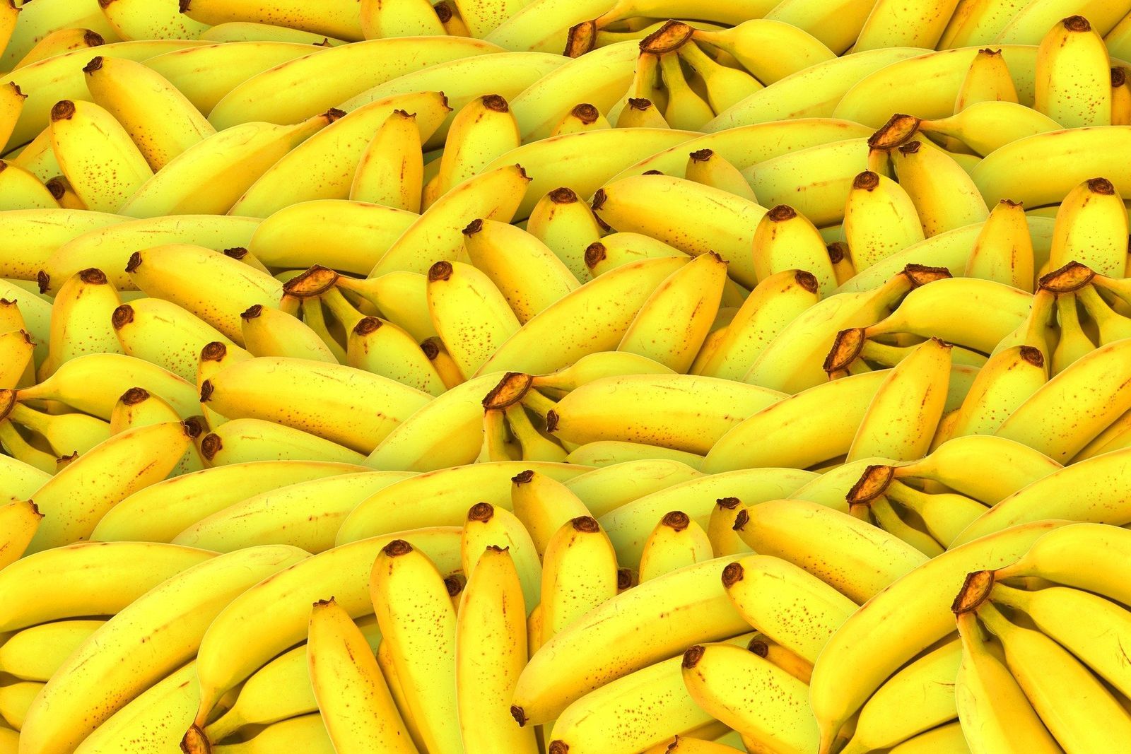 platano