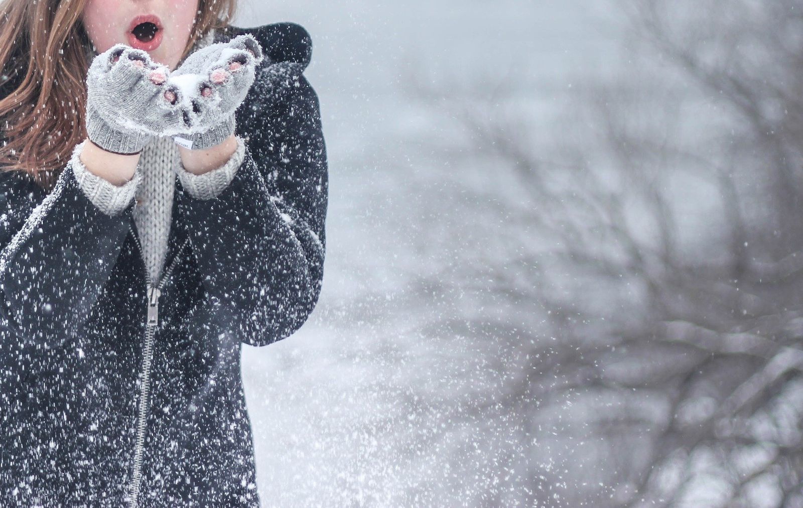 Nieve