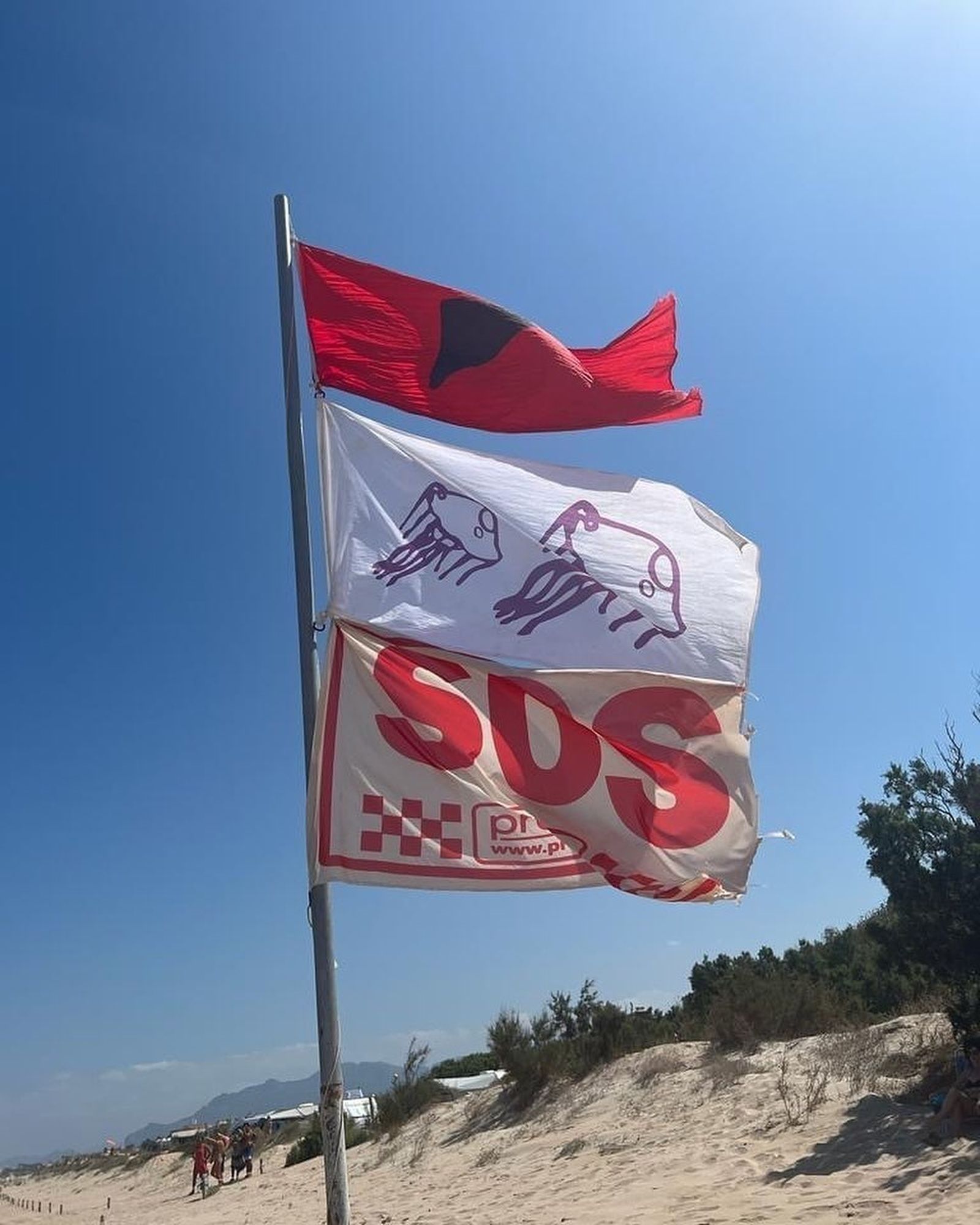 Cierran durante horas dos playas de Valencia por la presencia de un tiburón azul
