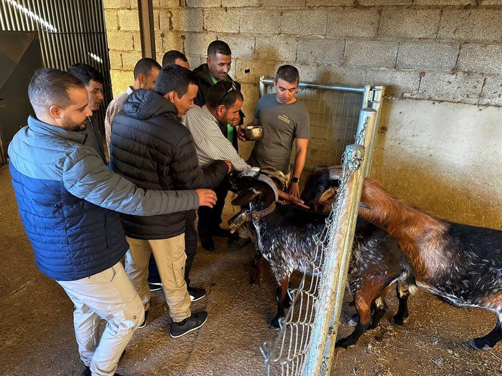 Un grupo de jóvenes saharauis de visita en Benarrabá (Málaga)