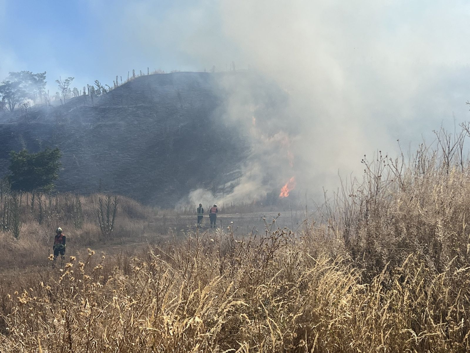Controlado un incendio de pastos y rastrojos en la Cañada Real