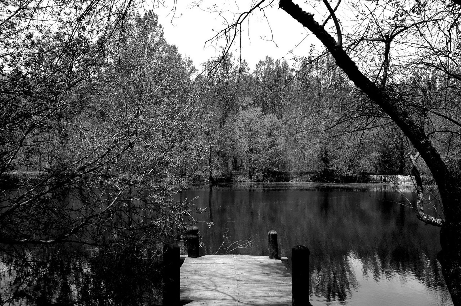 El Bosque de Finlandia, en Rascafría