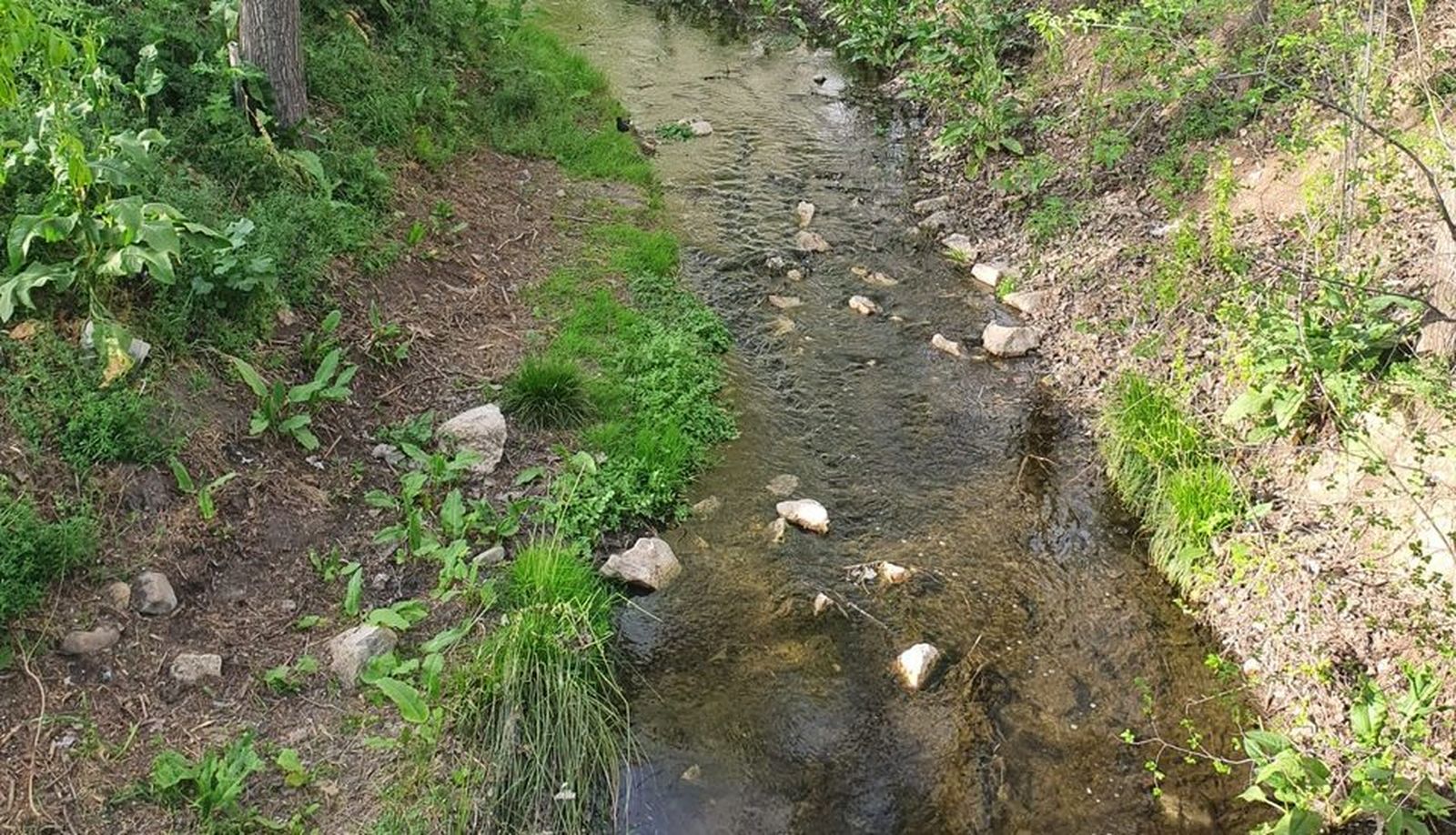 Alcalá acomete mejoras en el arroyo  Camarmilla donde proyecta construir una pasarela peatonal