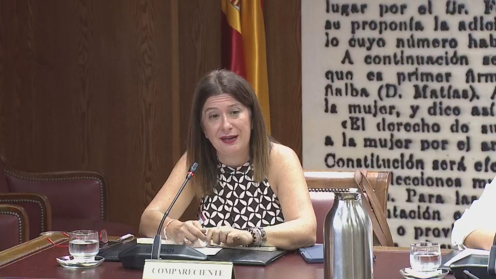 Leire Díez insiste en el Senado que su trabajo fue como periodista de investigación al margen del PSOE