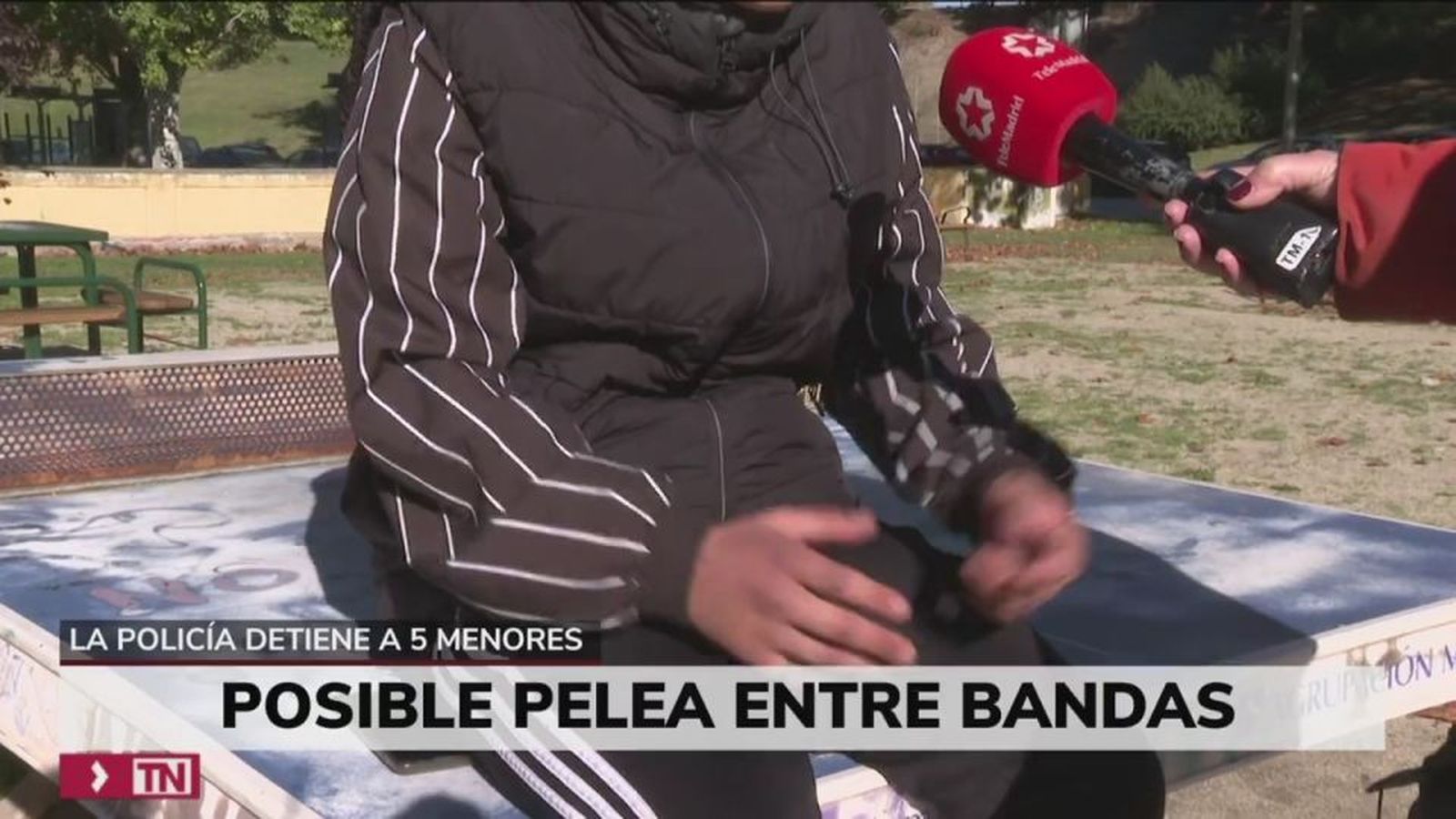 Cinco menores detenidos en otra pelea entre bandas en un parque de Vallecas
