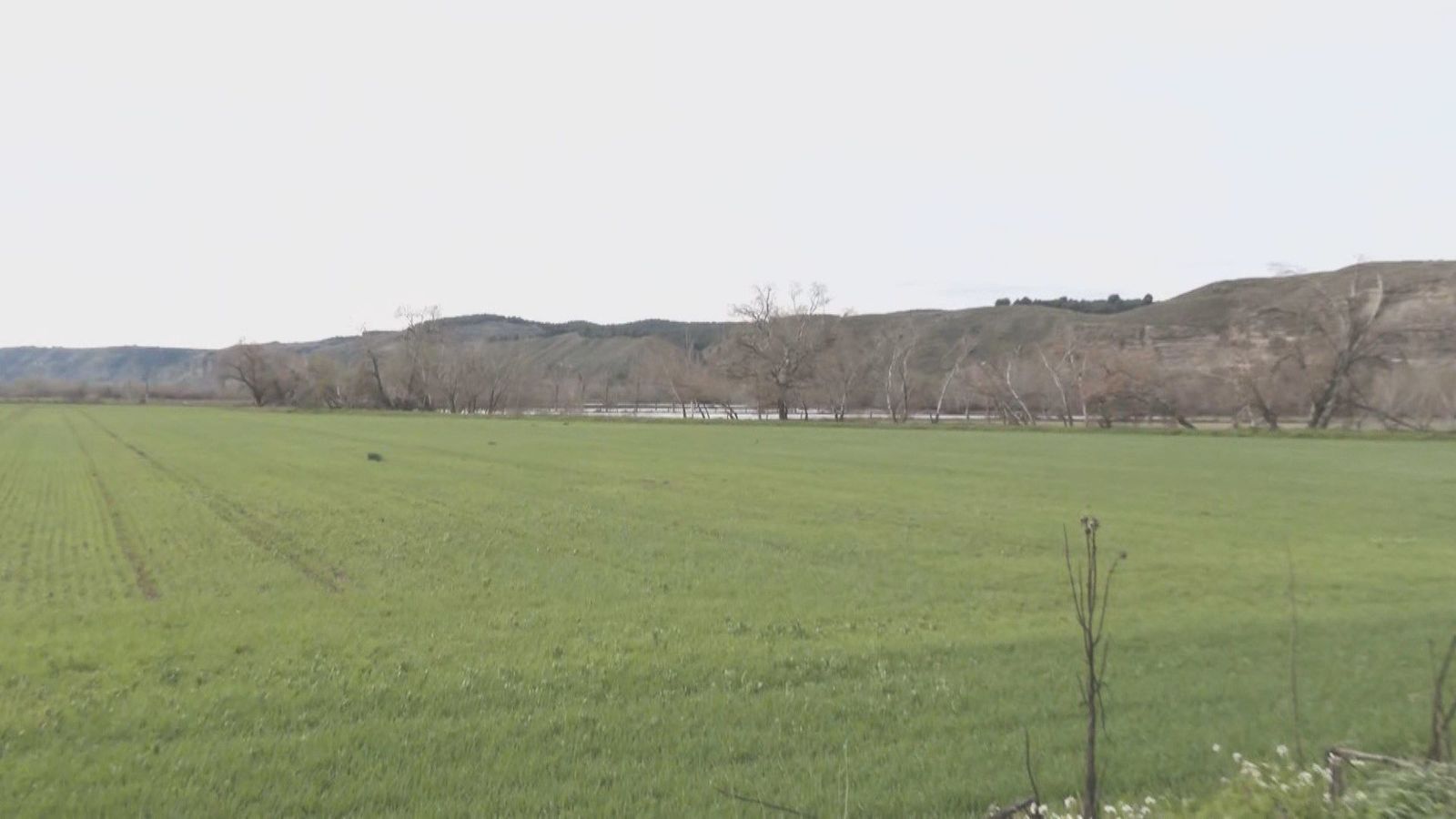 La crecida del río Jarama tiene en alerta a Rivas: algunos vecinos ya han sido desalojados