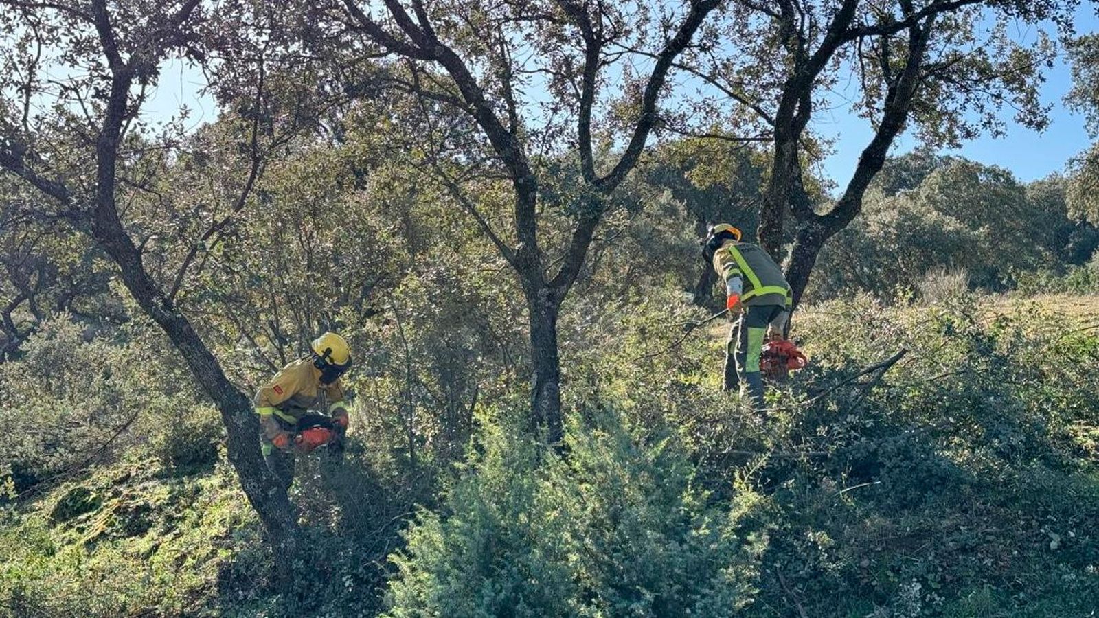Los retenes forestales trabajan en la sierra de Madrid para evitar los incendios de monte en verano
