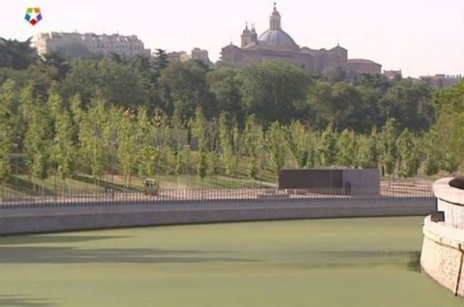 Una plaga de algas invade la ribera del Manzanares