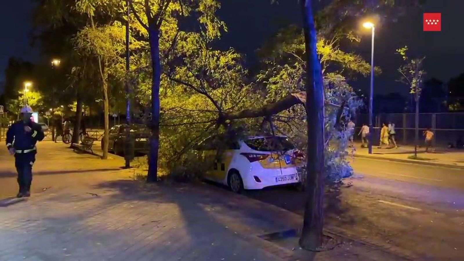 Destrozos por el fuerte viento en Madrid