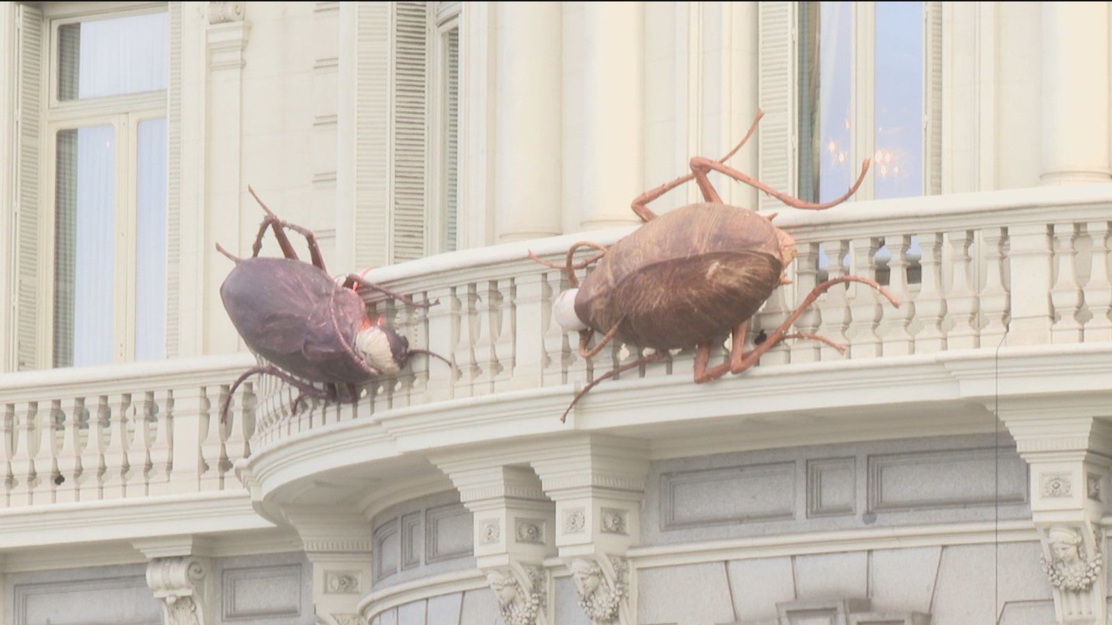 ¿Por qué hay cucarachas gigantes en la fachada de la Casa de América?