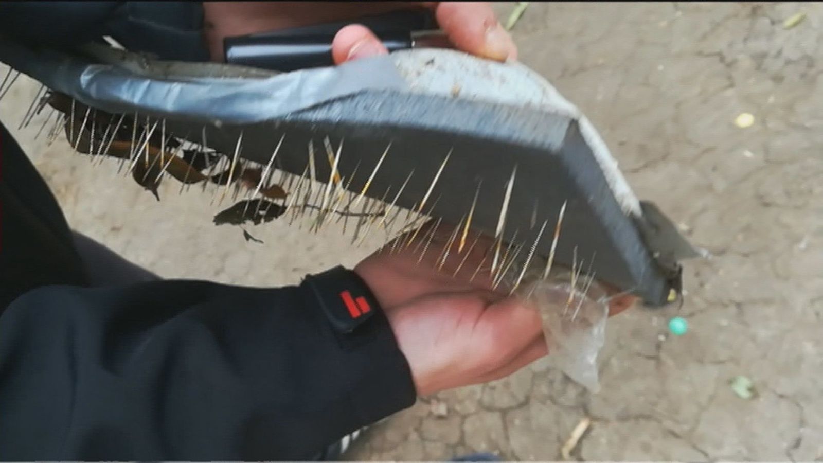 Colocan trampas con pinchos y clavos para los perros en el Parque de las Avenidas