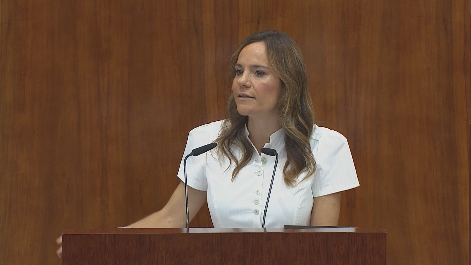 La portavoz de Vox en la Asamblea, Isabel Pérez Moñino