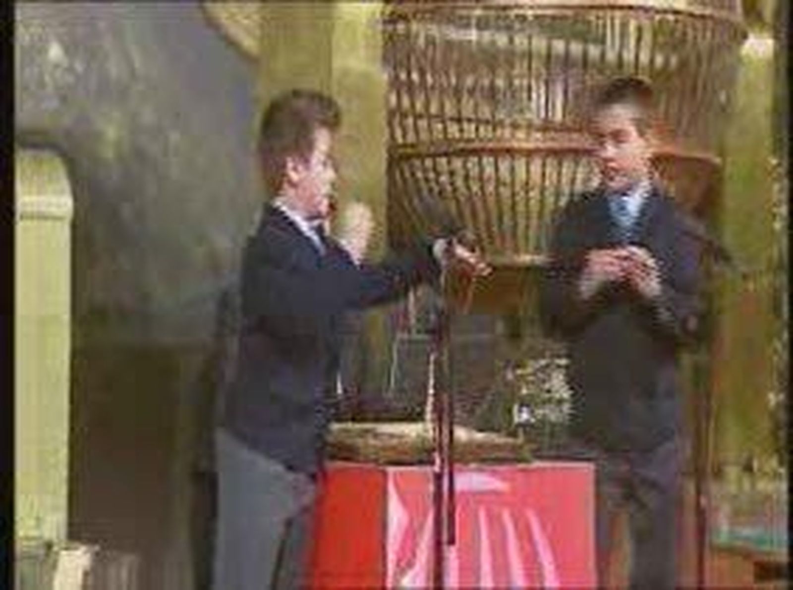 7gordo_20101222V0.wmv