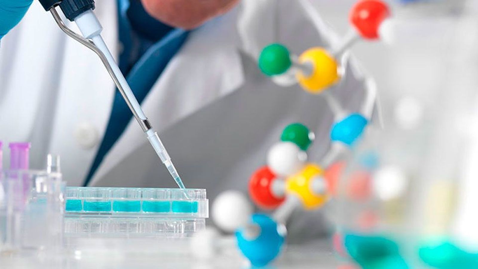 Un estudio científico descubre una proteína clave en el desarrollo del autismo