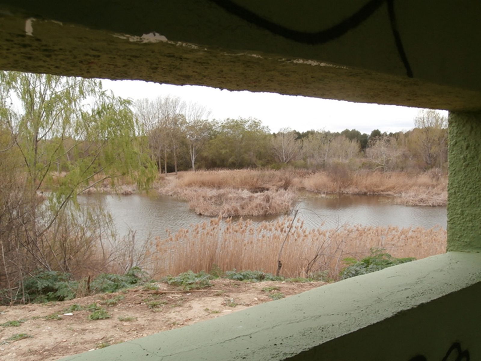 Vista de las lagunas desde el interior de uno de los puestos de observación de aves