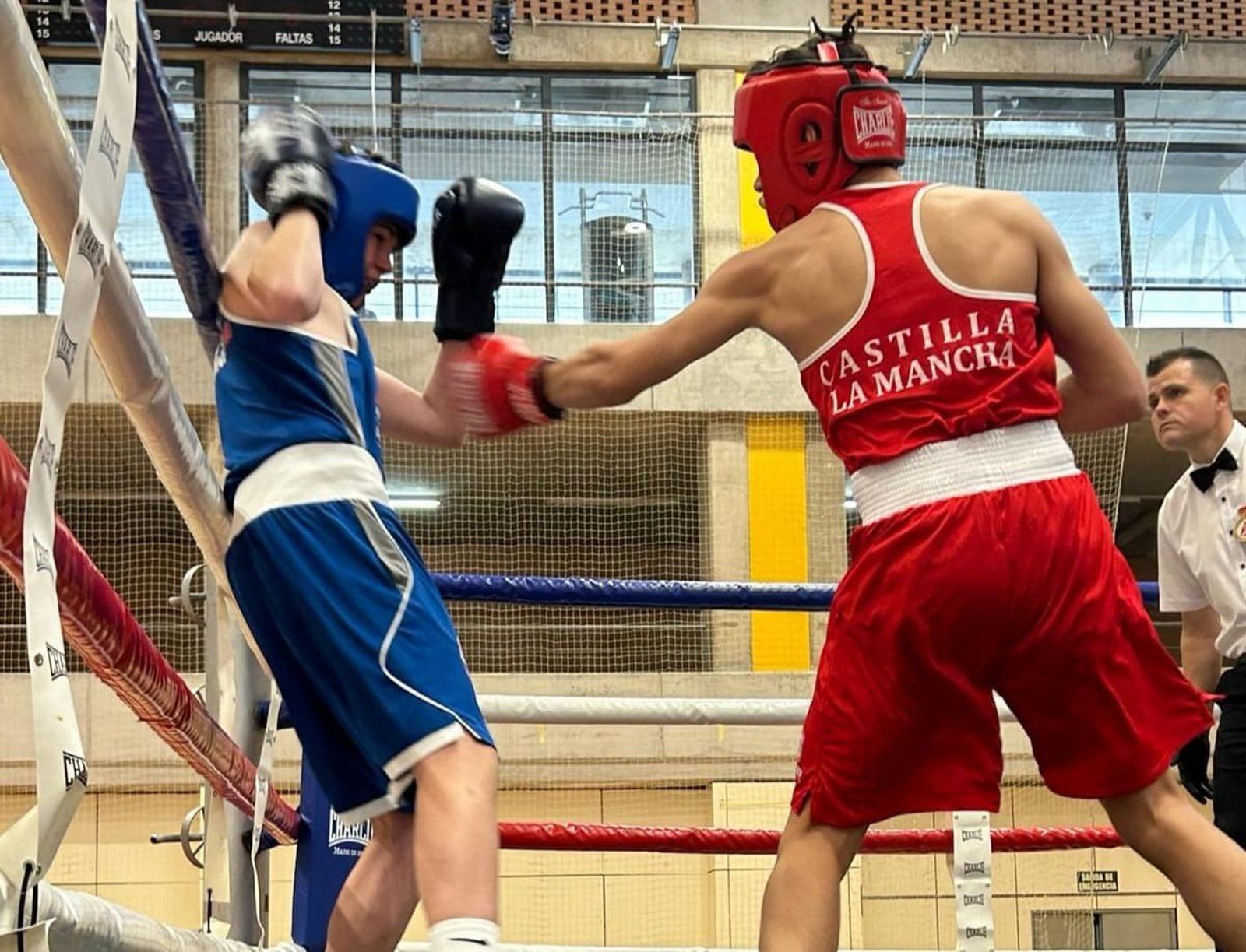 Boxeo